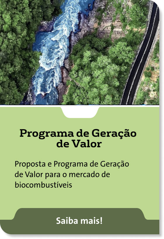 Programa de Geração de Valor - Proposta e Programa de Geração de Valor para o mercado de biocombustíveis - Saiba mais!